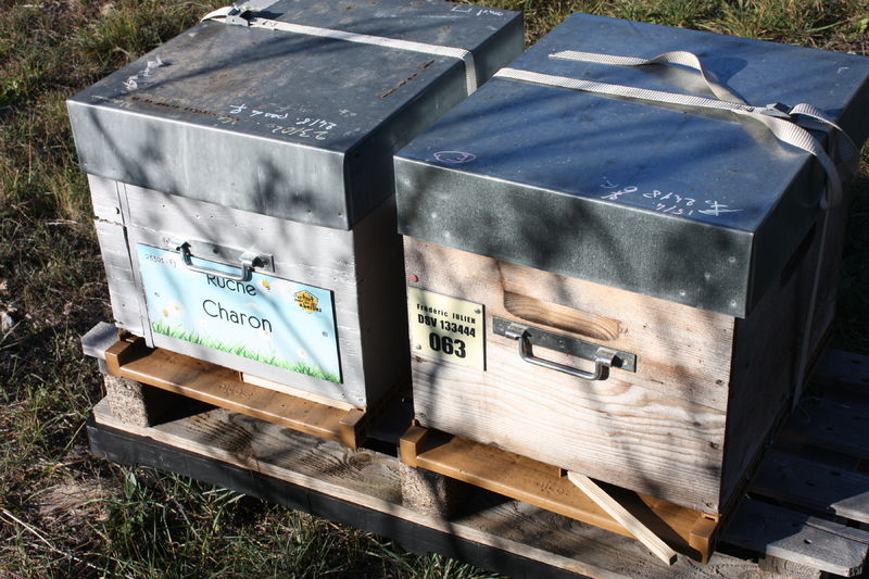 La ruche Charon