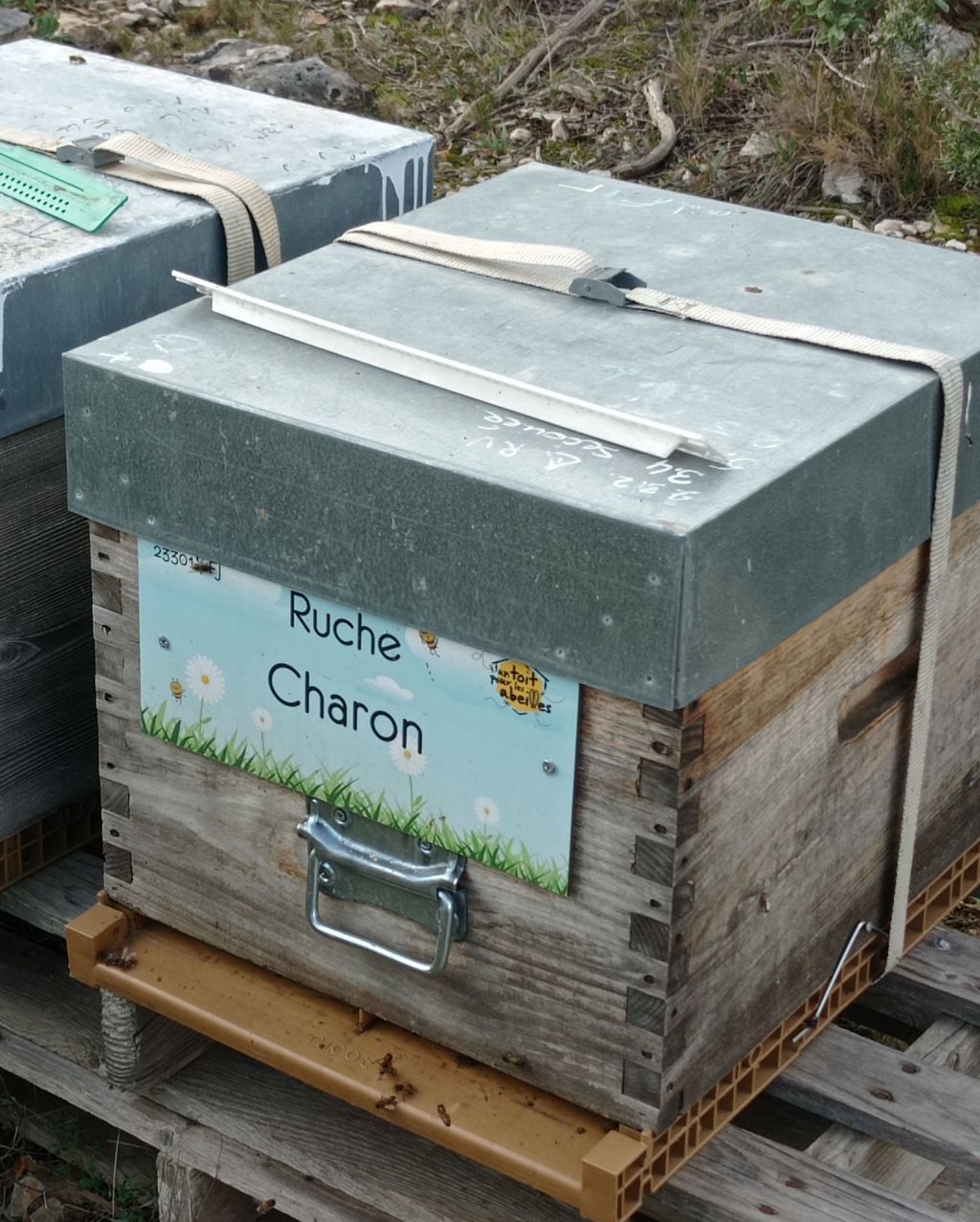 La ruche Charon