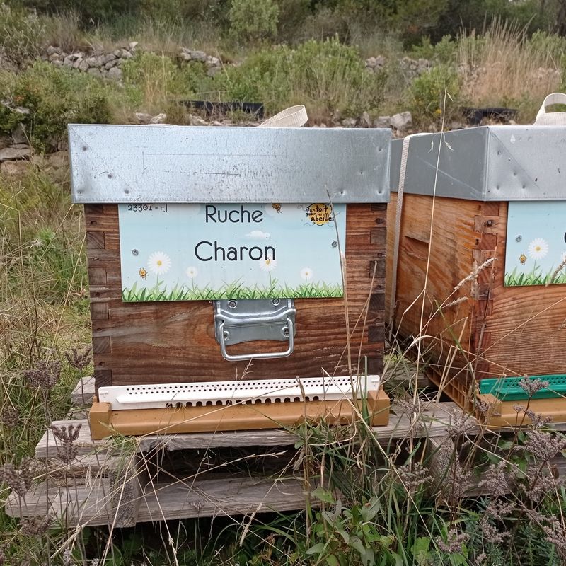 La ruche Charon