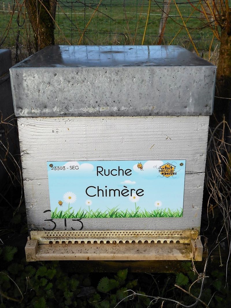 La ruche
