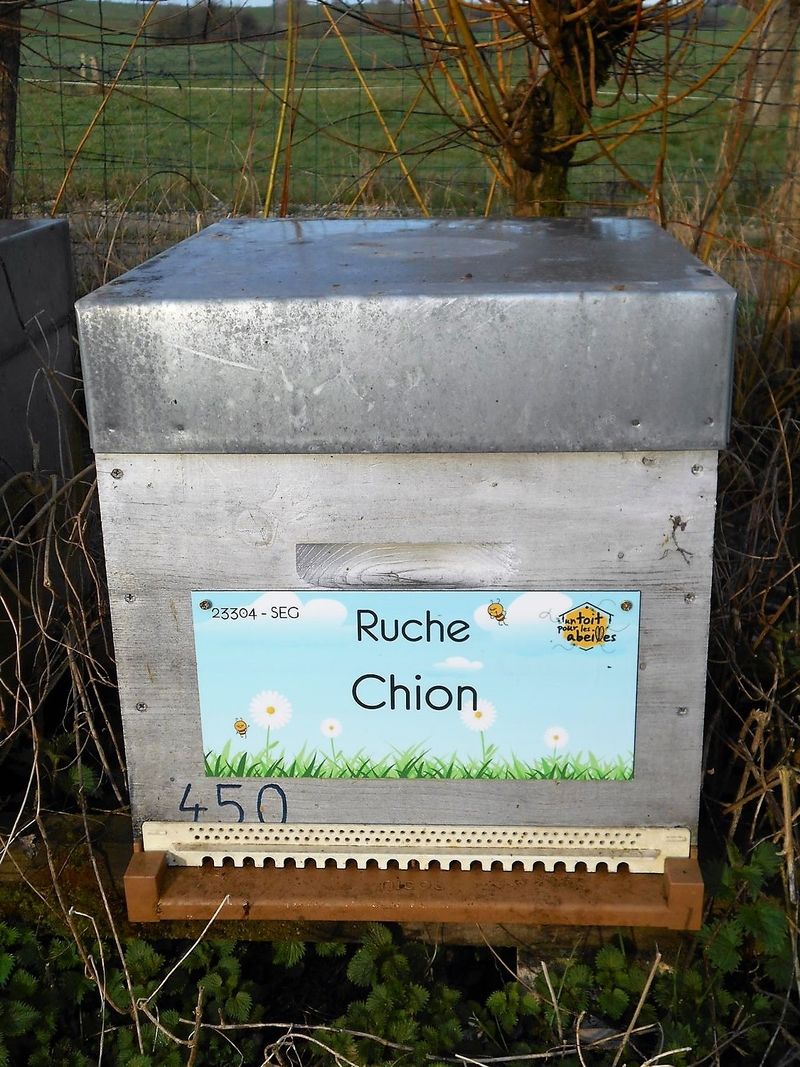 La ruche