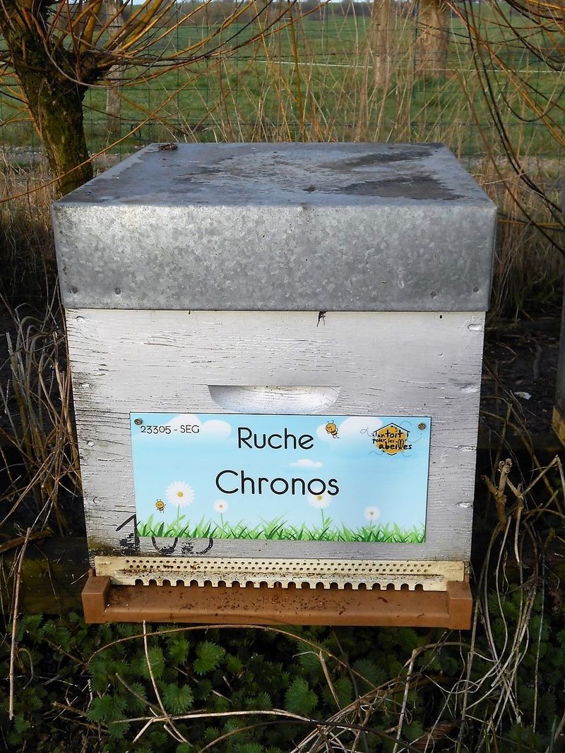 La ruche