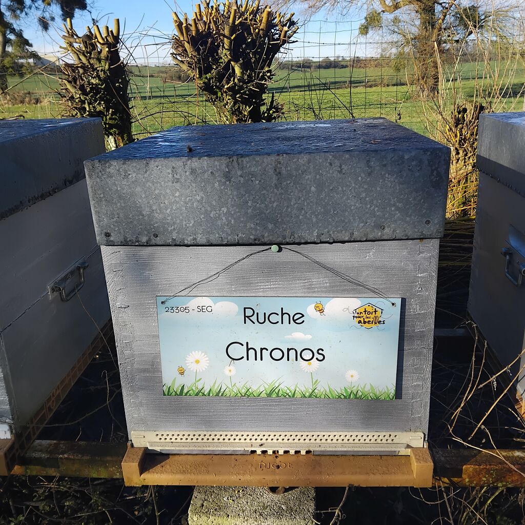 La ruche Chronos