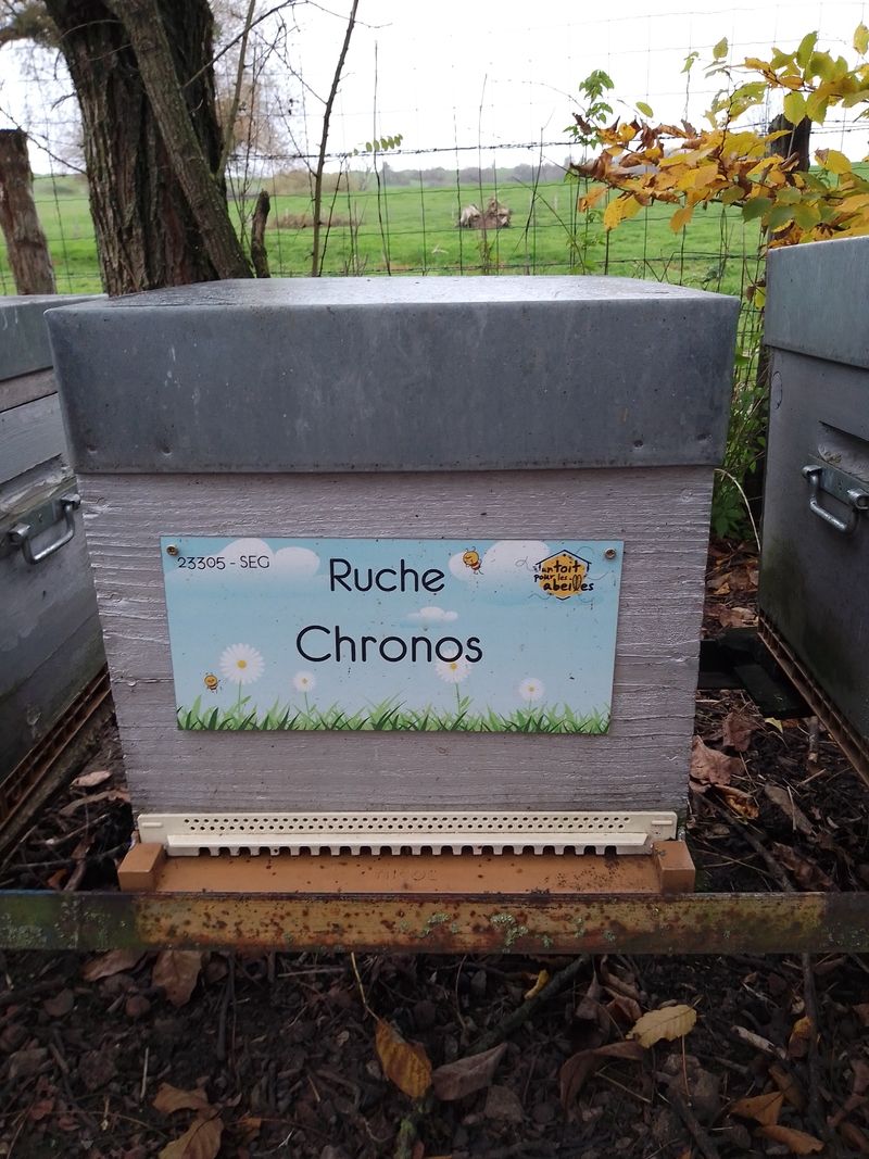 La ruche
