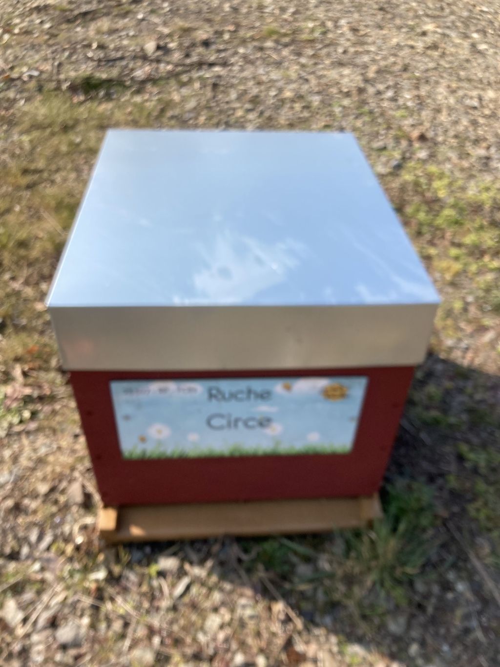 La ruche Circe