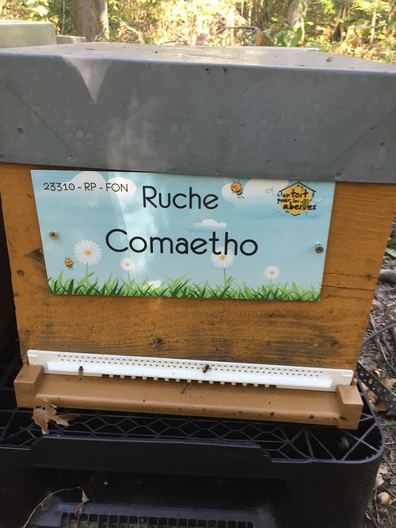 La ruche