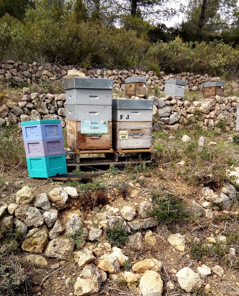 La ruche Créon