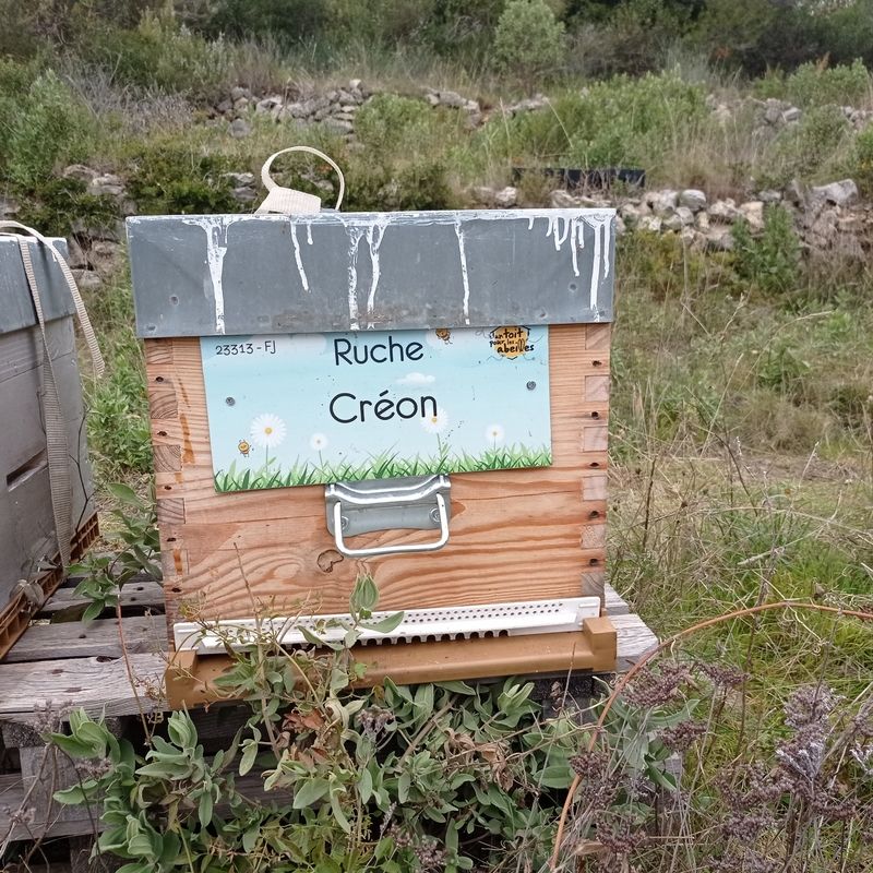 La ruche Créon