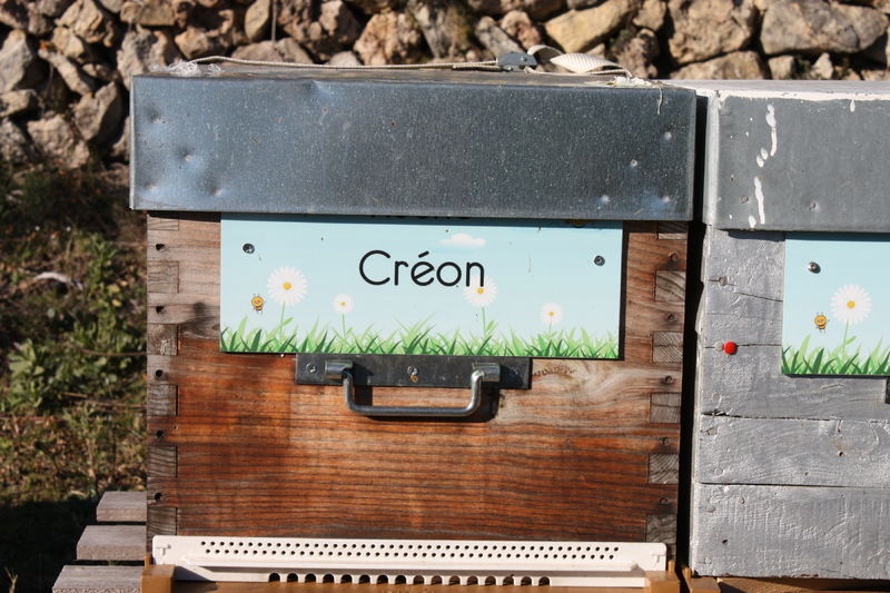 La ruche Créon
