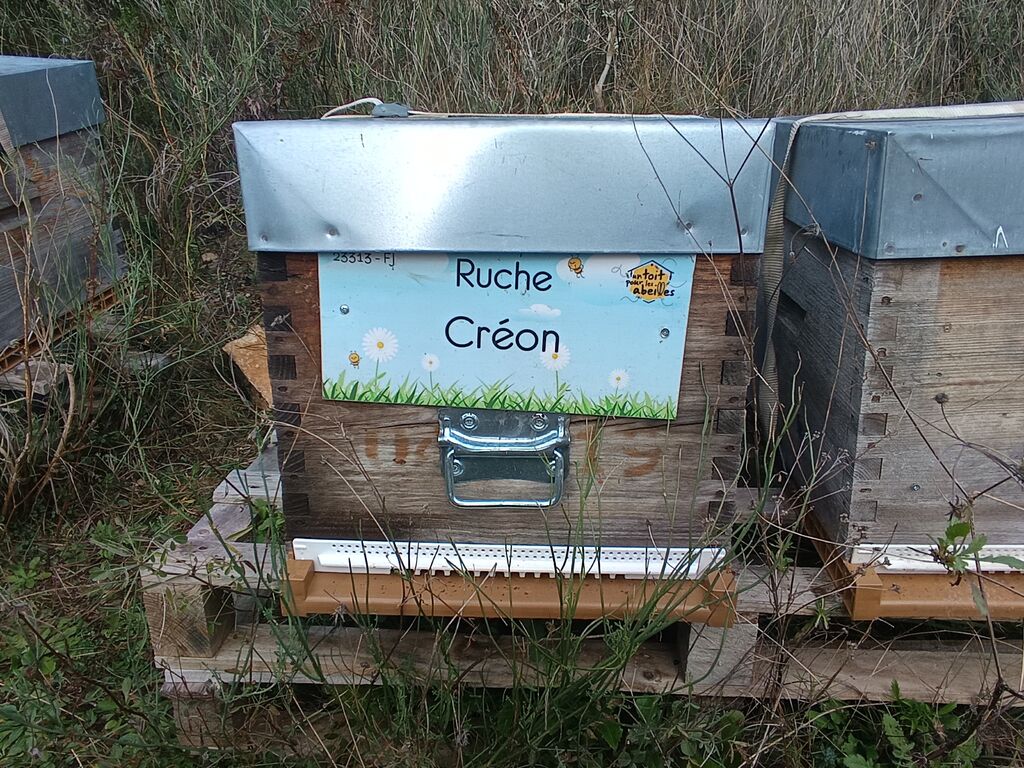 La ruche Créon