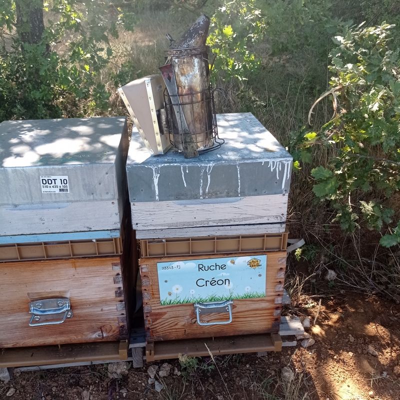 La ruche Créon