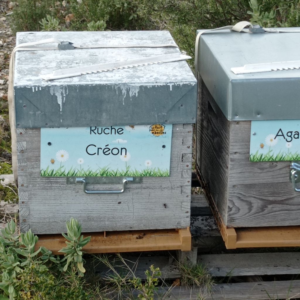 La ruche Créon