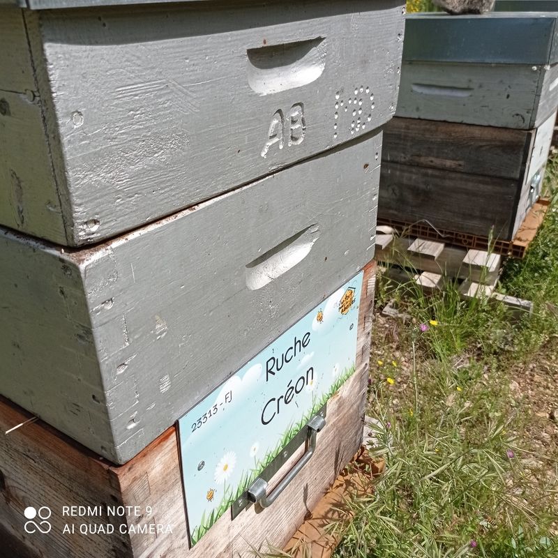 La ruche Créon