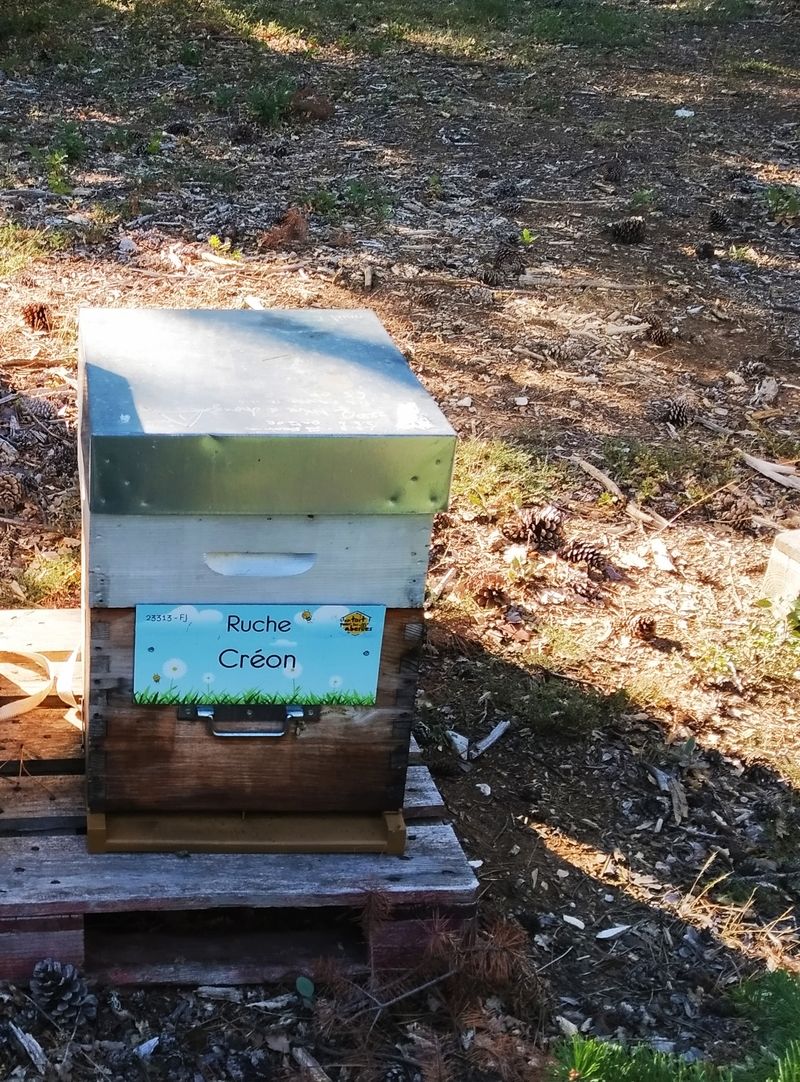 La ruche Créon