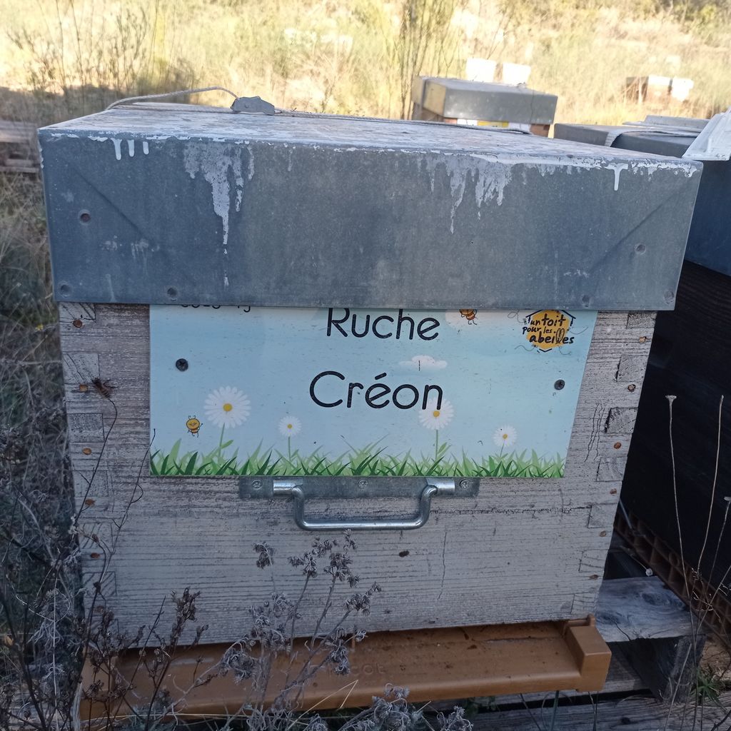 La ruche Créon