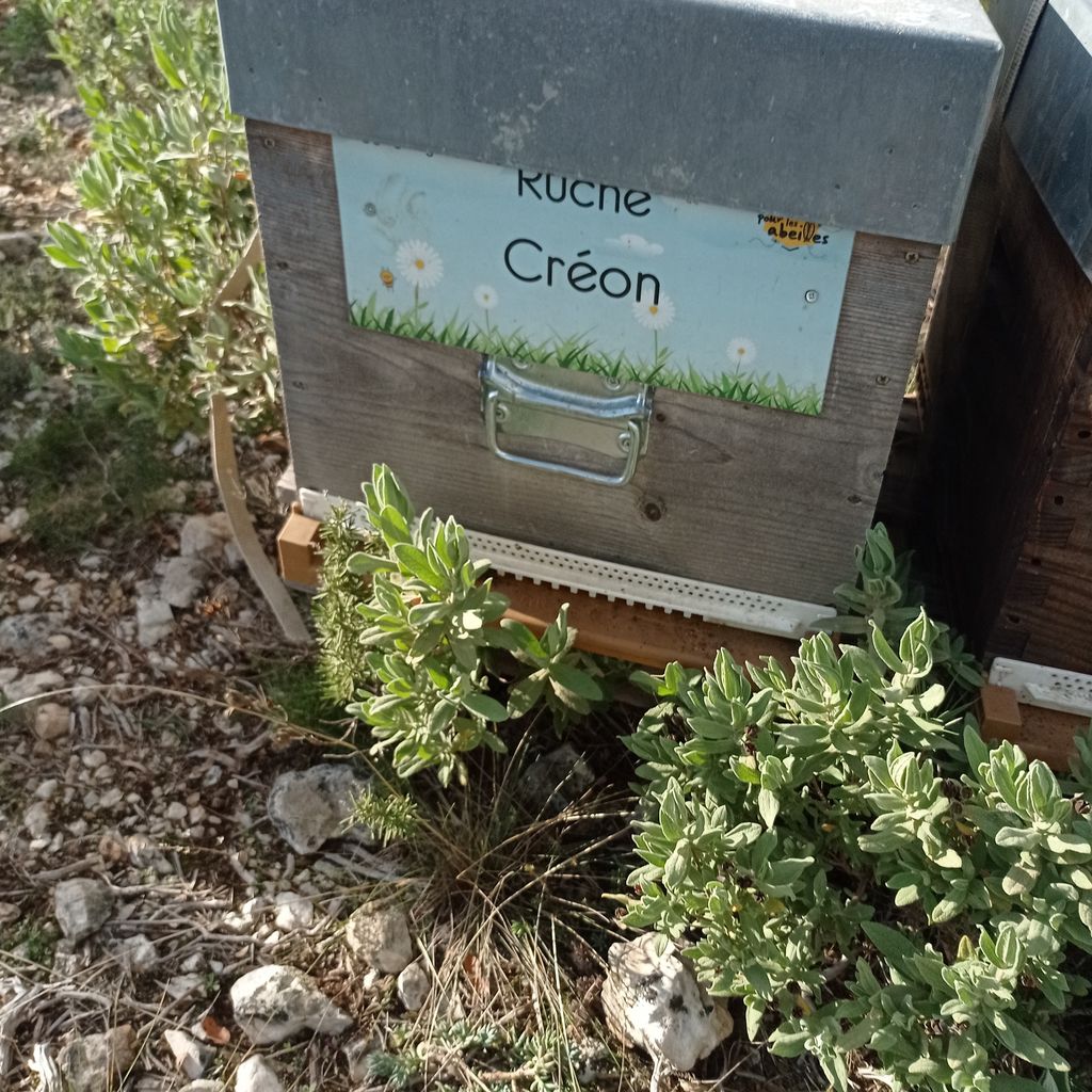 La ruche Créon