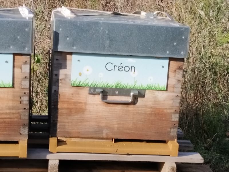 La ruche Créon