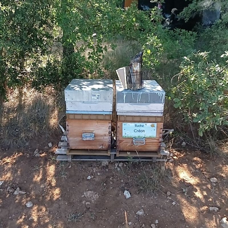 La ruche Créon