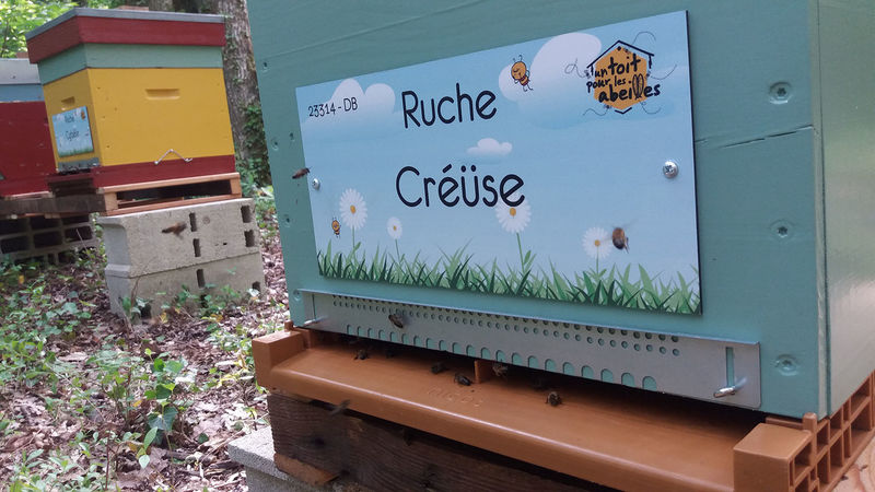 La ruche