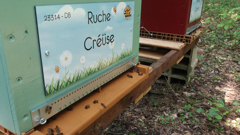 La ruche Créüse