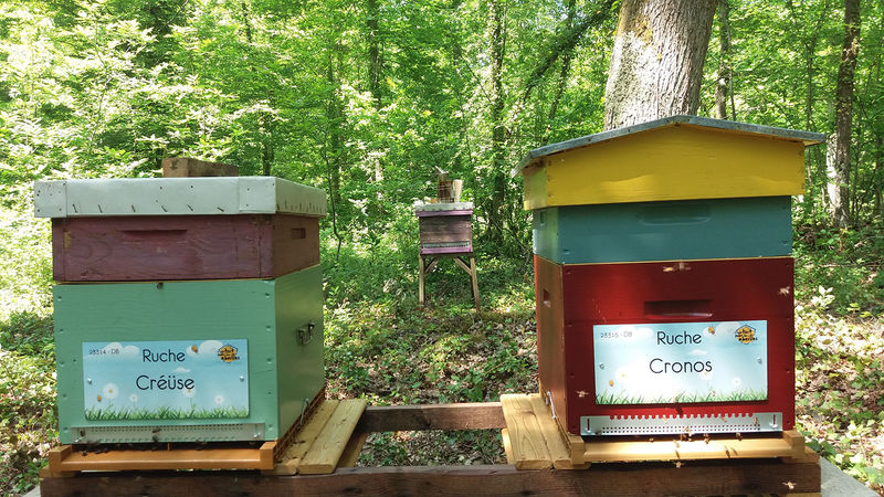 La ruche Créüse