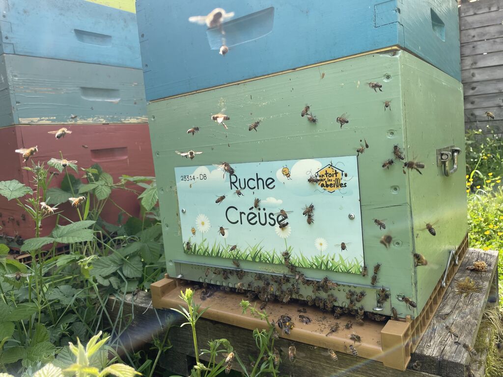 La ruche Créüse