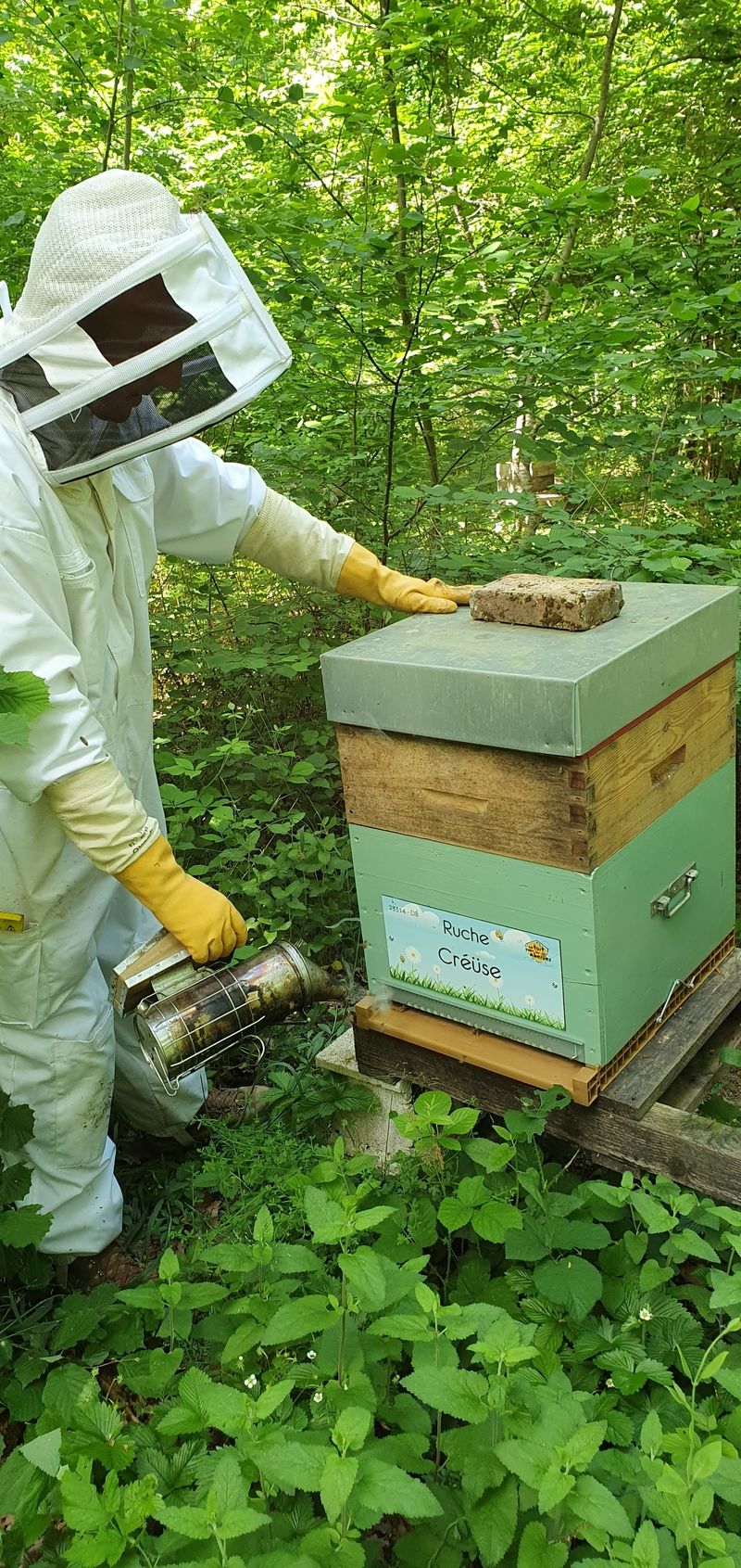 La ruche Créüse