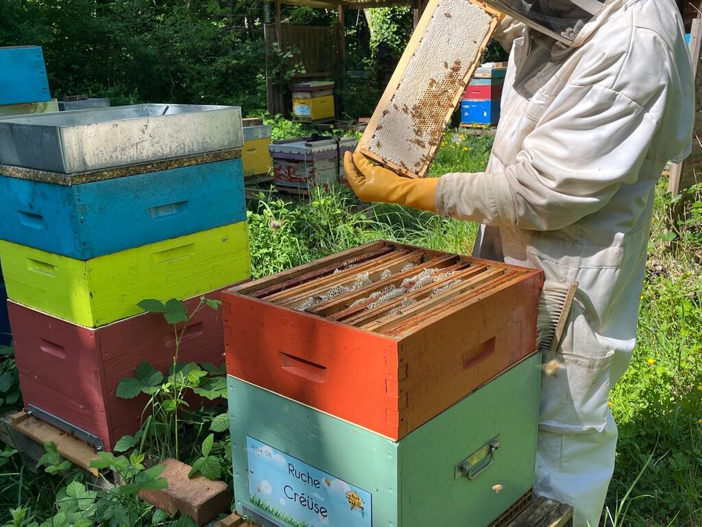La ruche Créüse