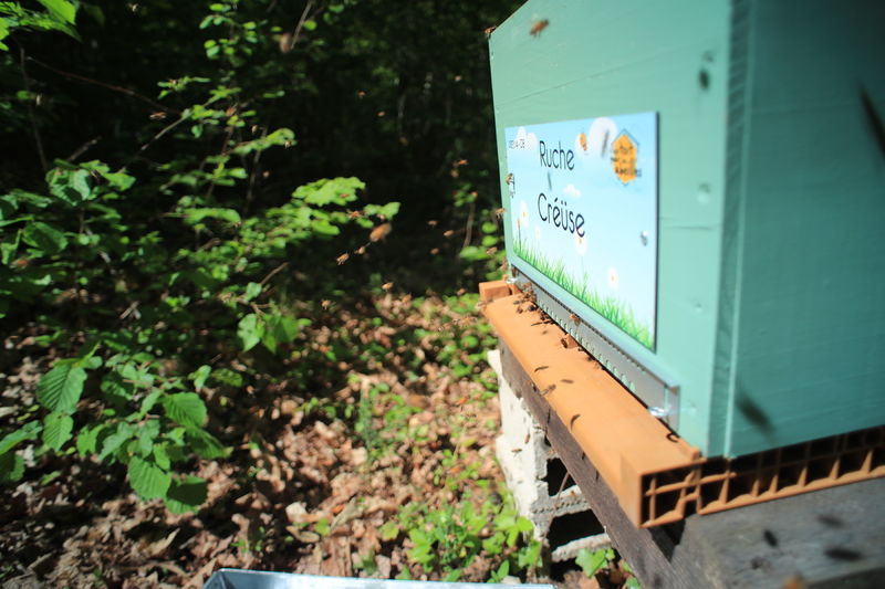 La ruche Créüse