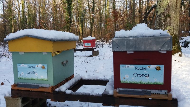La ruche Créüse