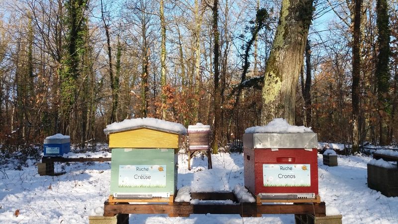 La ruche Créüse
