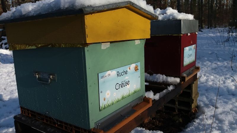 La ruche Créüse