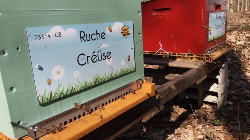 La ruche Créüse