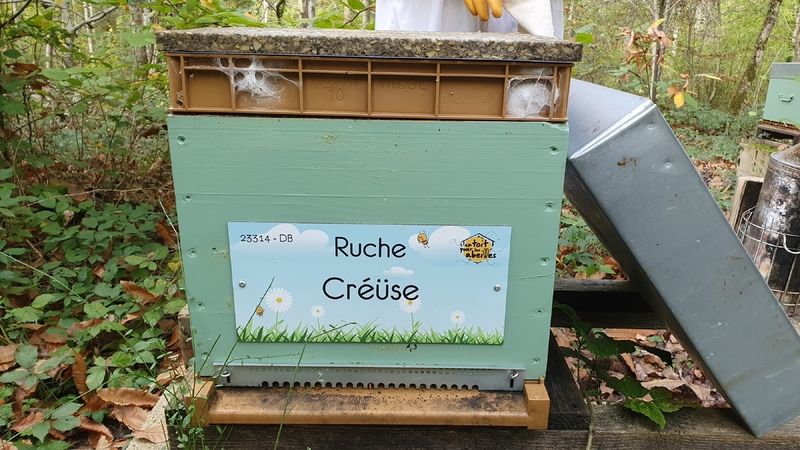 La ruche Créüse