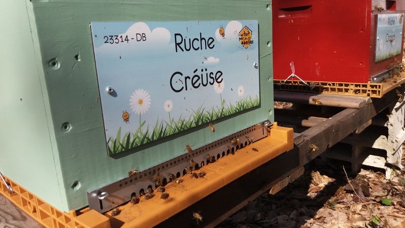 La ruche Créüse