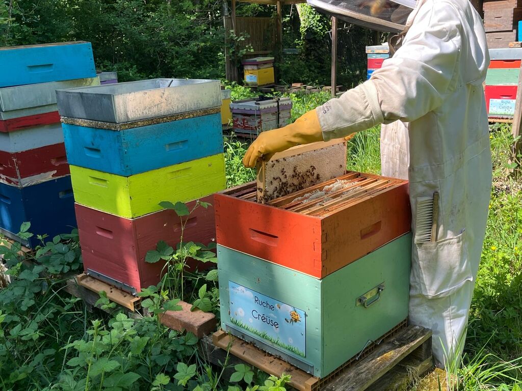 La ruche Créüse