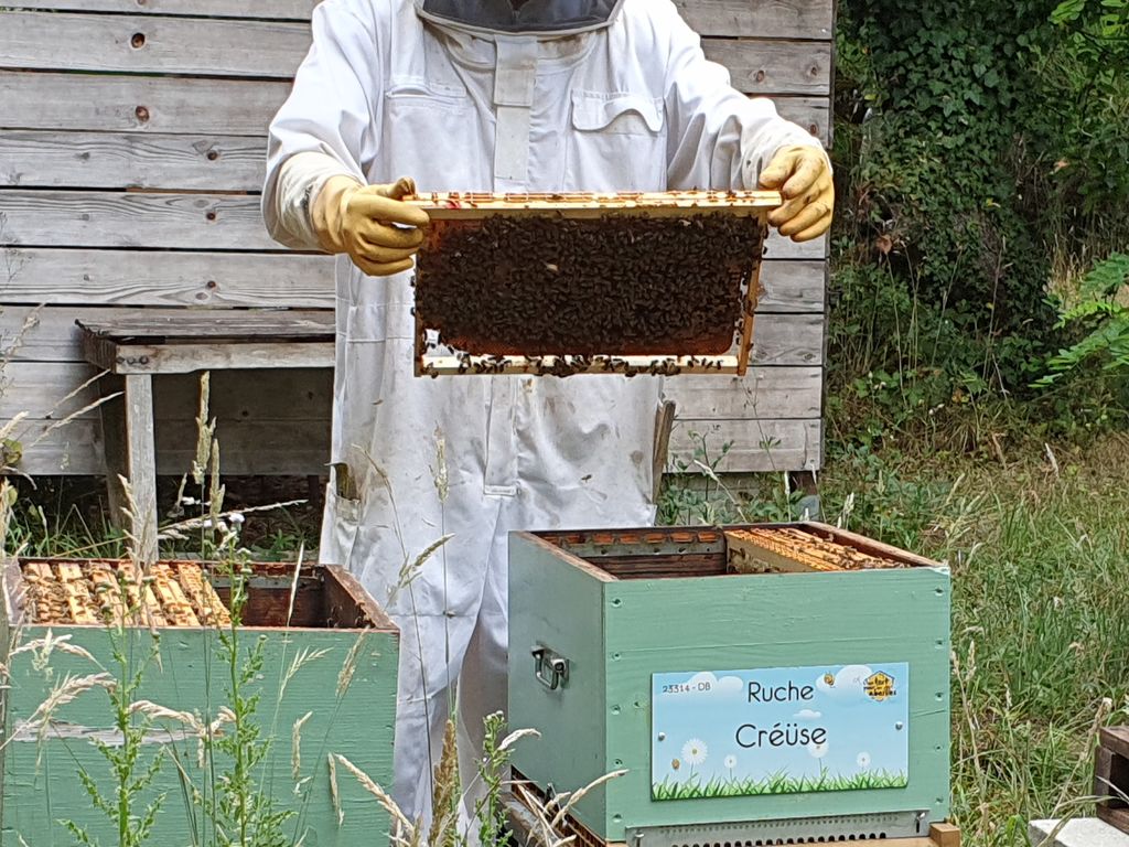 La ruche Créüse