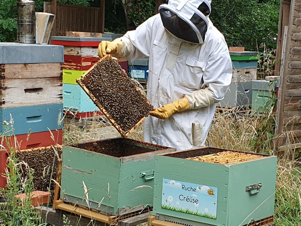 La ruche Créüse