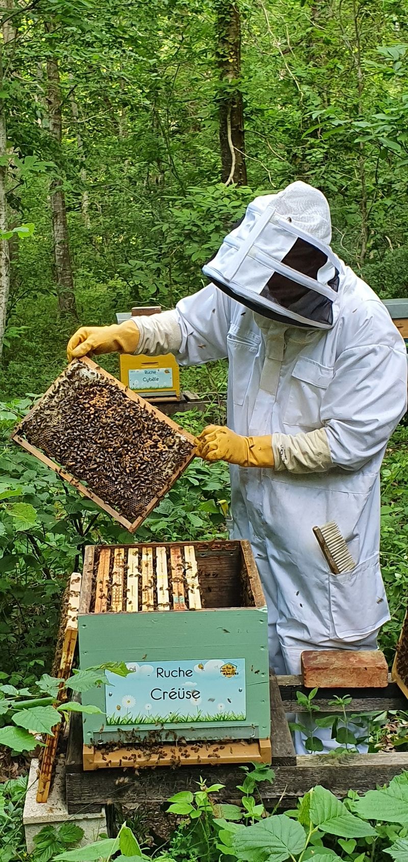 La ruche Créüse
