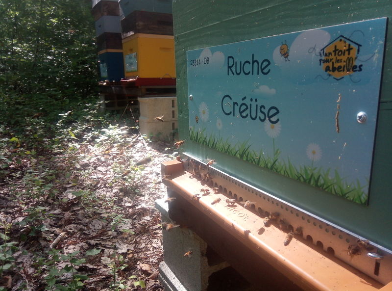 La ruche Créüse
