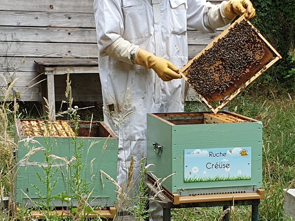 La ruche Créüse