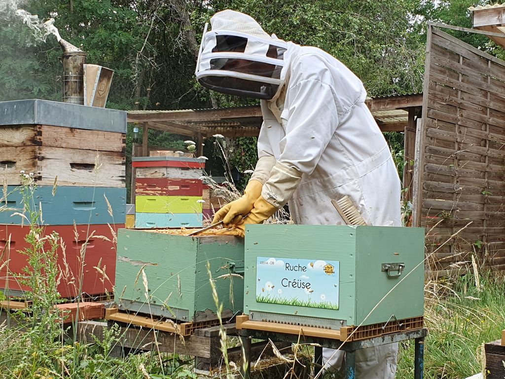 La ruche Créüse