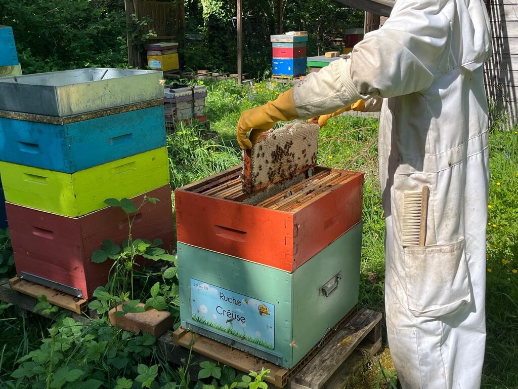 La ruche Créüse