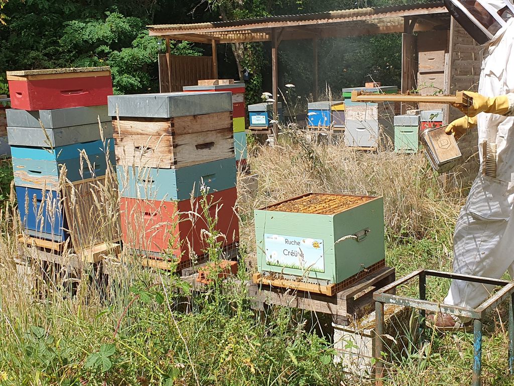 La ruche Créüse