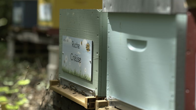 La ruche Créüse