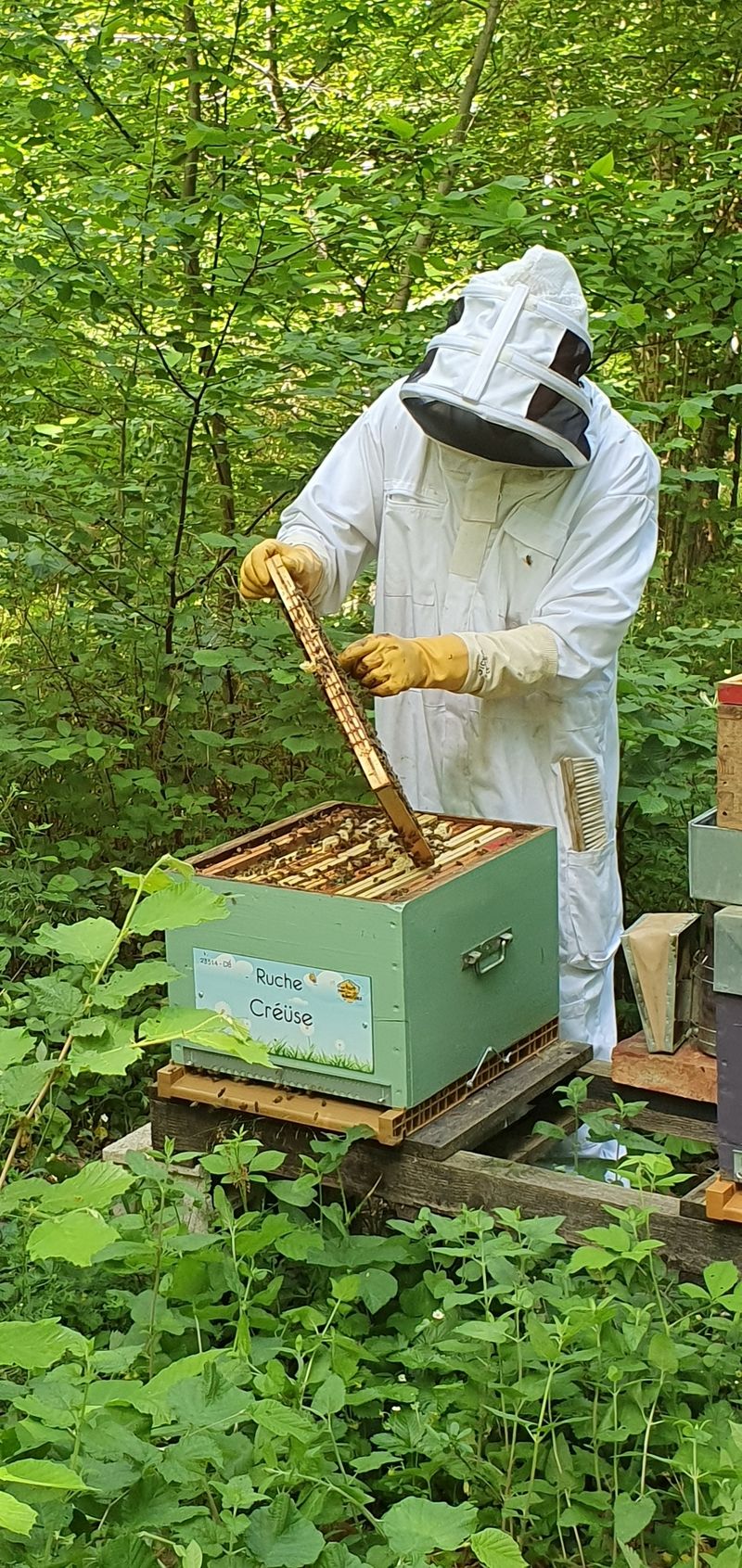 La ruche Créüse