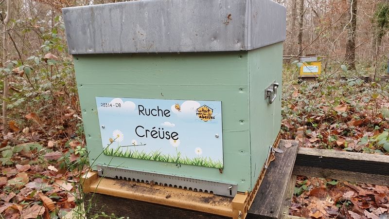 La ruche Créüse