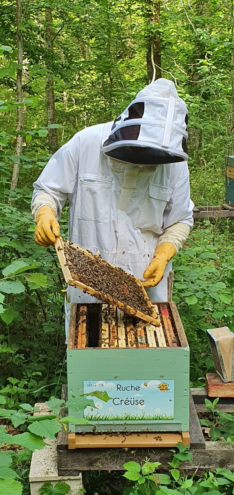 La ruche Créüse