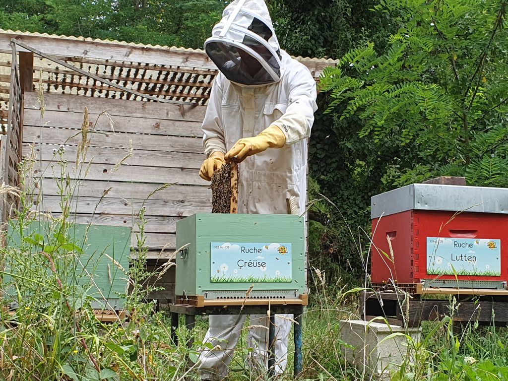 La ruche Créüse