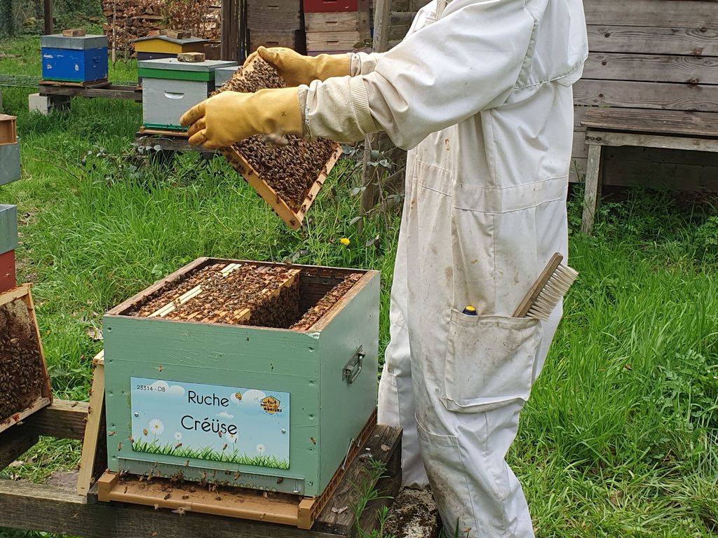 La ruche Créüse